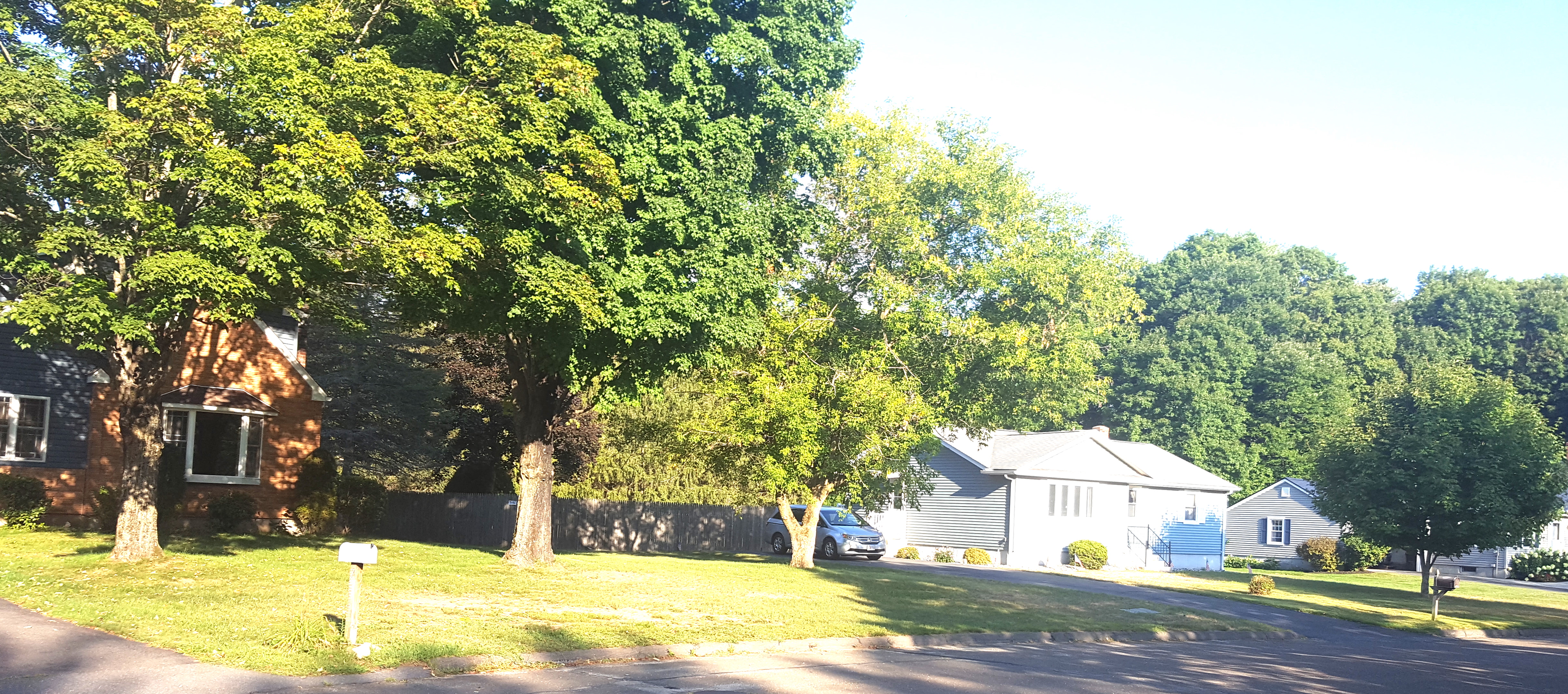 [Photograph of placid lawns]