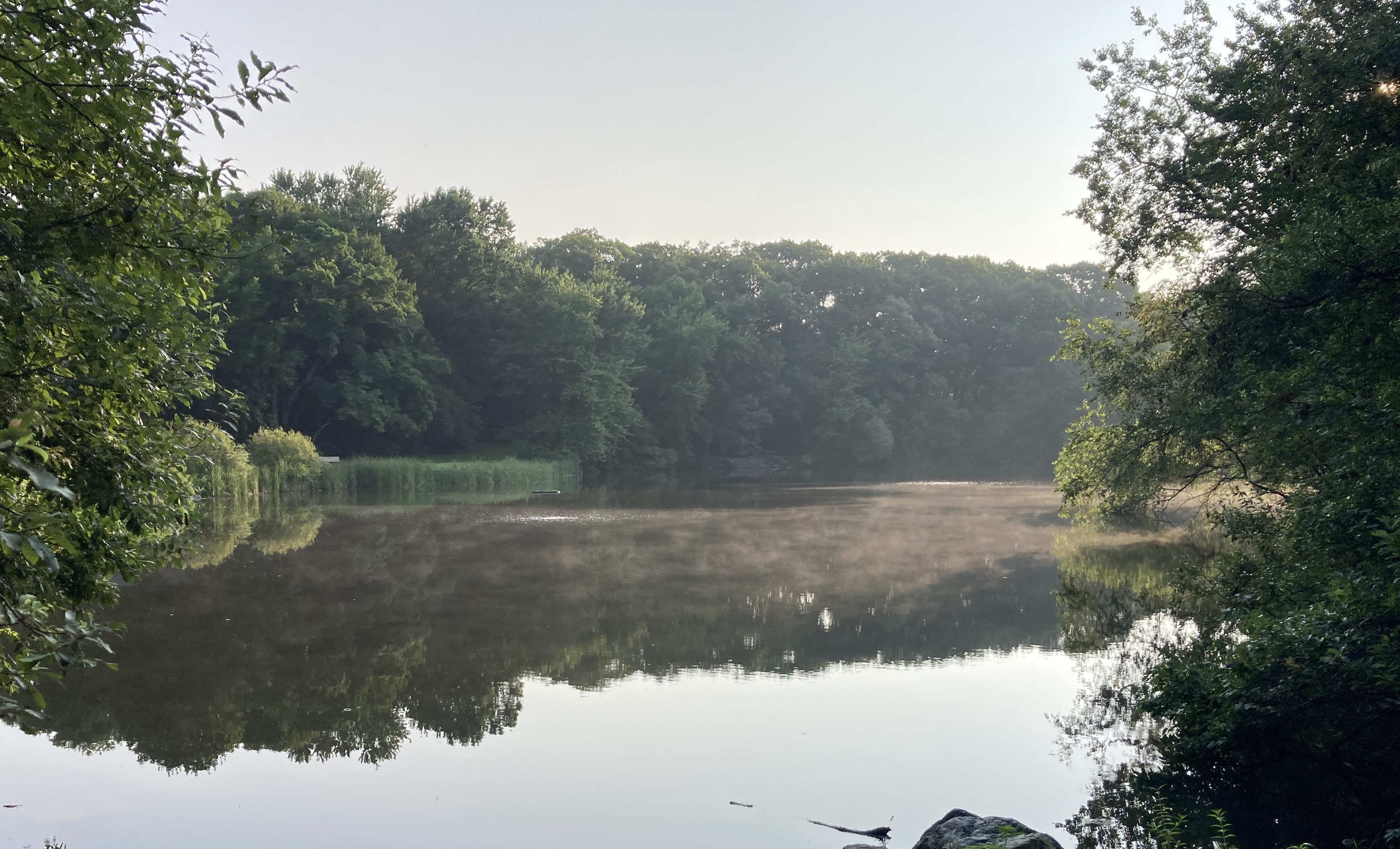[Photograph of Menotomy Rocks pond]